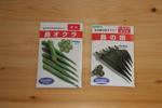 060408オクラ播種IMG_1466.jpg