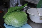 061026キャベツ収穫