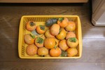 061027柿