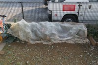 070209ブロッコリーに寒冷紗IMG_3523.jpg