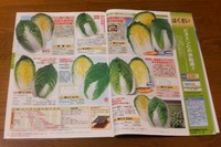 070315白菜のカタログP1000037.jpg