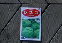 080308シスコIMG_7395.jpg