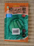 秋キャベツ「初秋」